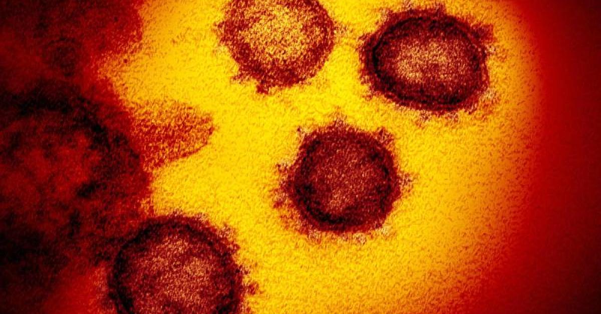 Schwindel, Kopfweh, Schlaganfall: China-Studie entdeckt Neben-Symptome von Corona