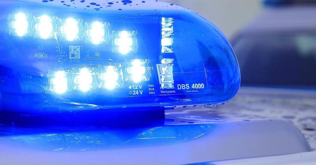 Unbekannter trennt Katze die Vorderpfoten ab - Tierarzt kann ihr nicht mehr helfen: Polizei sucht Tierquäler