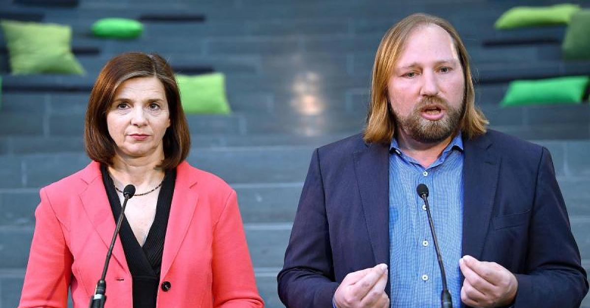 Grüne wollen Rasse aus dem Grundgesetz streichen - von der AfD hagelt es Kritik